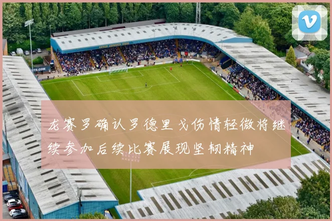 龙赛罗确认罗德里戈伤情轻微将继续参加后续比赛展现坚韧精神
